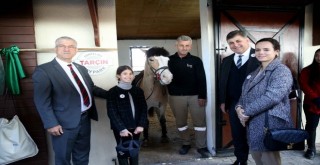 Cordelion Taypark Binicilik Okulu açıldı