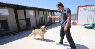 Bayraklı'ya ''Bakım Merkezi'' müjdesi