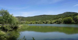 İzmir sinema sektörüne hazır