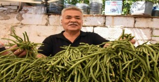 Torbalı’da Börülce Festivali coşkusu