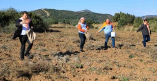Atalık Karakılçık Buğday ekimi başladı