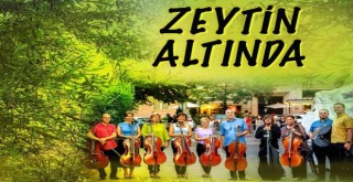 Zeytin Altında konserleri MAV Cello Ensemble ile başlıyor