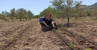 Karaburun'da 19 bin sebze fidesi toprakla buluştu
