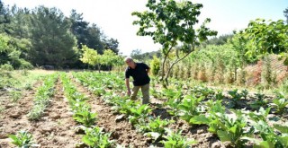 Bornovalı çiftçiye yerinde destek sürüyor