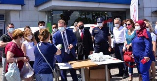 Karşıyakalı kadınlara domates fidesi dağıtıldı...