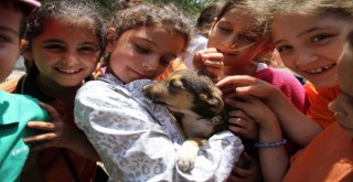 Karşıyakalı öğrenciler hayvan sevgisini anlatacak