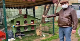 CHP’li Sertel’den hayvan hakları yasa tasarısıyla ilgili çağrı