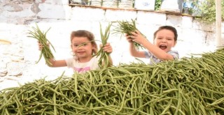 Karakızlar’da Börülce Festivali yapılacak