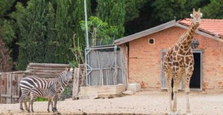 İzmir Doğal Yaşam Parkı bayramda ziyaretçileri bekliyor