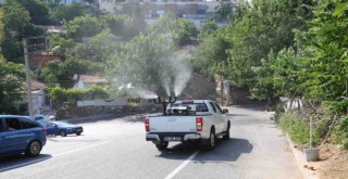 Bayraklı’da ilaçlama seferberliği