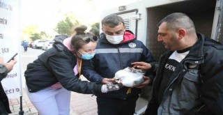 Karşıyaka'da martı operasyonu