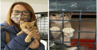 Depremden kurtarılan can dostlar sahiplendiriliyor