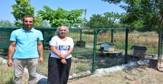 Hayvanseverler istedi belediye yaptı