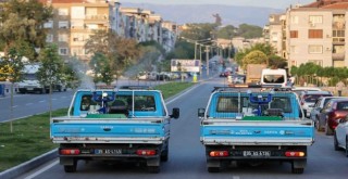 Sivrisineklerin Buca’ya girişi yasaklandı