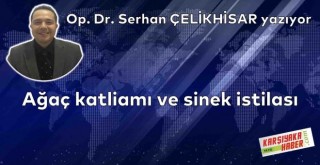 Ağaç katliamı ve sinek istilası