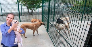 Bakioğlu Can Dostlarımız Yaşam Merkezi ve Bakımevi açılıyor