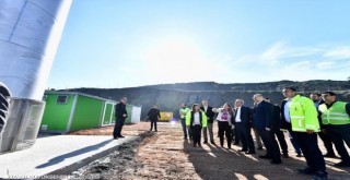 Harmandalı yeniden doğacak