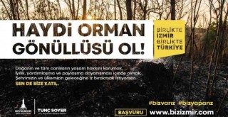Orman Gönüllüleri Ekibi kuruluyor
