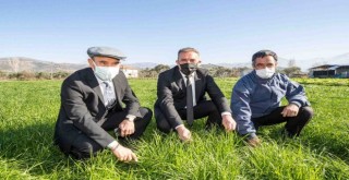 Beydağ'da Başkan Soyer’den üreticiye müjde