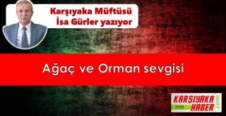 Ağaç ve Orman sevgisi