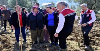 İzmir’de kadın çiftçilere destek