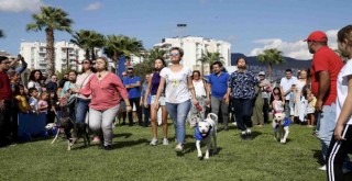 Patiyaka’da can dostlarla yaza merhaba