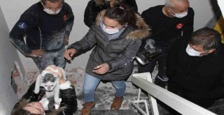 Karşıyaka'da iki bina arasına sıkışan kedi 42 gün sonra kurtarıldı
