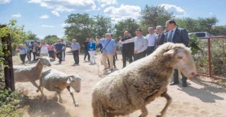Başkan Tugay geleneksel yayla serüvenini başlattı