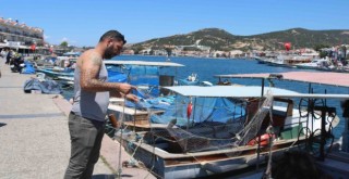 Foça'da ''Askıda Balık'' projesi hayata geçti