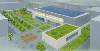 İzmir çatılarda yeşil devrimi başlatıyor