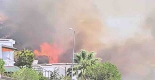 Çandarlı'da yangın...