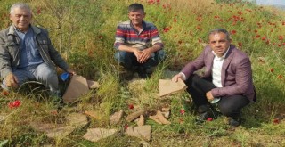 Barajın suları çekilince Roma İmparatorluğu kalıntıları ortaya çıktı