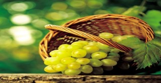 Kösedere Üzüm Şenliği’ne 12’inci kez merhaba