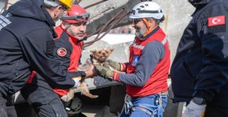 Afetlerde mahsur kalan hayvanlar unutulmayacak