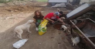 Çiğli'de sokak sakinleri tam kapanma sürecinde belediyeye emanet