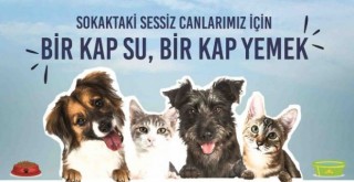 Can dostlara özel kampanya: Benim de karnım aç, ben de susadım