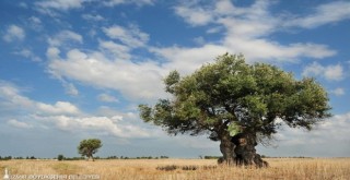 Herkes İçin Ekolojik Okuryazarlık Seminerleri başlıyor