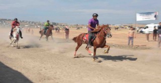 Türkiye'nin şampiyon atları Menemen'de yarıştı