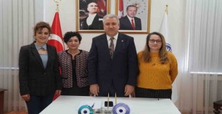 Meme kanserine karşı endemik bitki türü ile araştırma