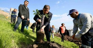 Karşıyaka 5 yıl dolmadan 100 bin ağaç hedefini aştı