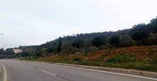 Şemikler'deki taşınmaza en yüksek teklifi LÖSEV verdi