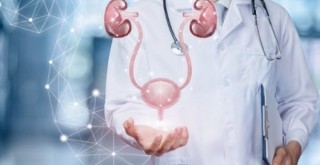 Ankara Üroloji Doktorları: Üroloji Nedir?