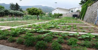 Karşıyaka Kentsel Gıda Strateji Belgesi hazır