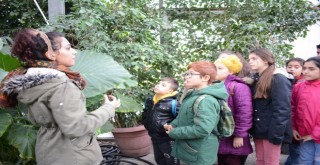 EGEÇEM’den ''Bitkilerin Dünyası'' etkinliği