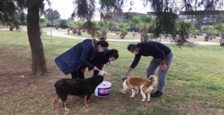 Kısıtlamada can dostlar yine unutulmadı