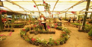 Karşıyaka'nın ''Çiçek Festivali'' 16 Mayıs'ta başlıyor