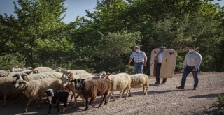 Tunç Soyer: Mera varsa hayat vardır