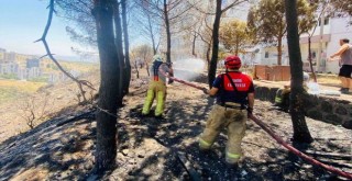 İzmir İtfaiyesi 48 saatte 227 yangına müdahale etti