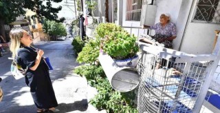 Burası artık arka mahalle değil