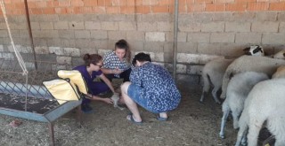 Bornova’dan Marmaris’e yardım eli